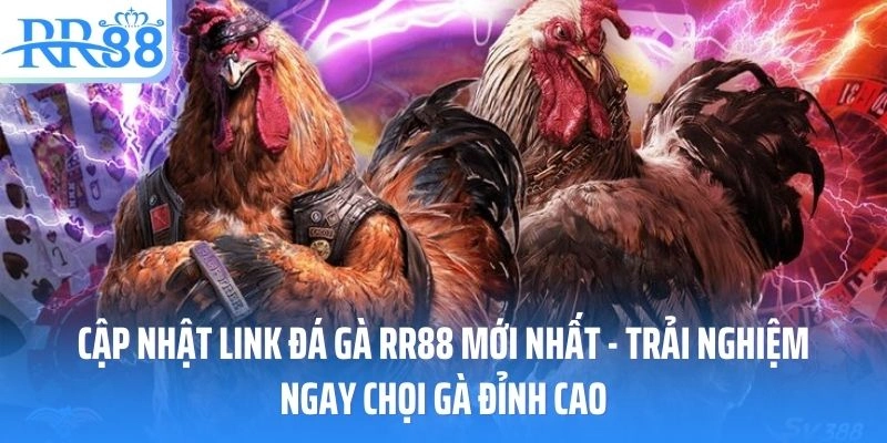 Cập Nhật Link Đá Gà RR88 Mới Nhất - Trải Nghiệm Ngay Chọi Gà Đỉnh Cao