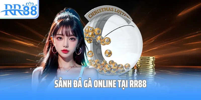 Sảnh đá gà online tại RR88